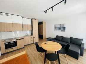 Apartament Osiedle Okrzei, Kielce